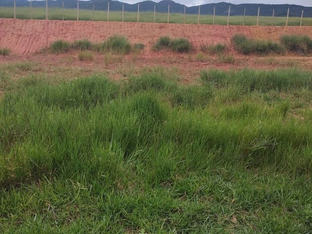 Terreno com 250m², à venda, no bairro GUARAIUVA em Vargem