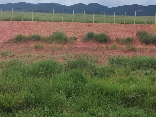 Terreno com 250m², à venda, no bairro GUARAIUVA em Vargem