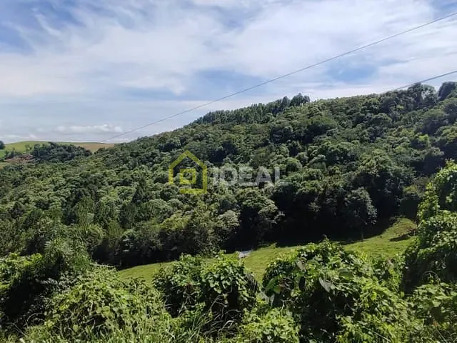 Terreno com 98000m², à venda, no bairro São Paulo em Concórdia