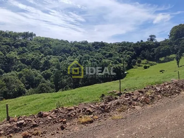 Terreno com 98000m², à venda, no bairro São Paulo em Concórdia