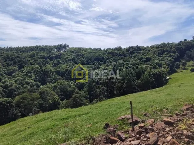 Terreno com 98000m², à venda, no bairro São Paulo em Concórdia