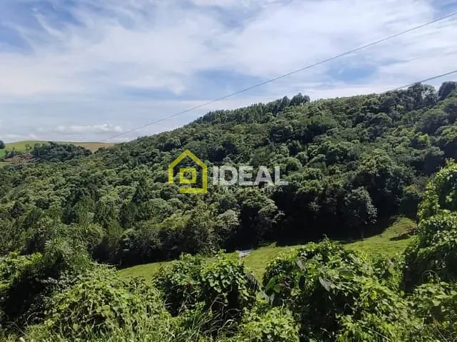 Terreno com 98000m², à venda, no bairro São Paulo em Concórdia
