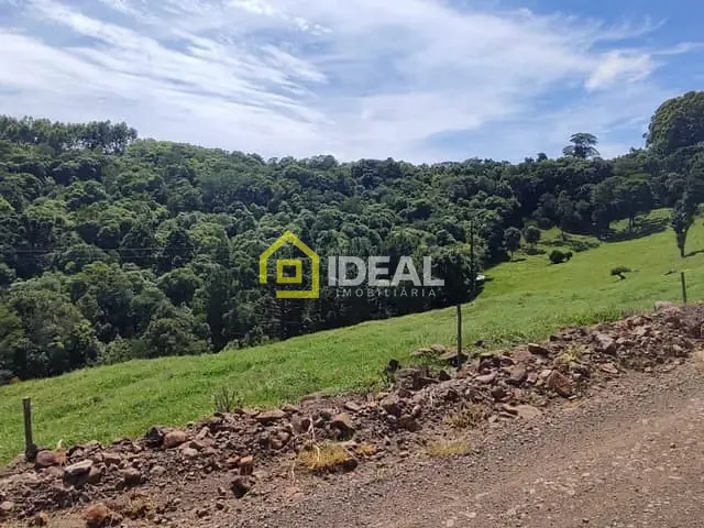 Terreno com 98000m², à venda, no bairro São Paulo em Concórdia