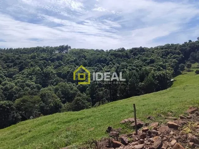 Terreno com 98000m², à venda, no bairro São Paulo em Concórdia
