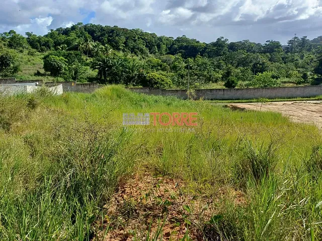Terreno com 559m², à venda, no bairro Nossa Senhora da Vitória em Ilhéus