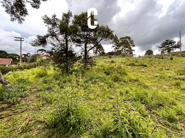 Terreno com 2015m², à venda, no bairro Vale Encantado em Campos do Jordão