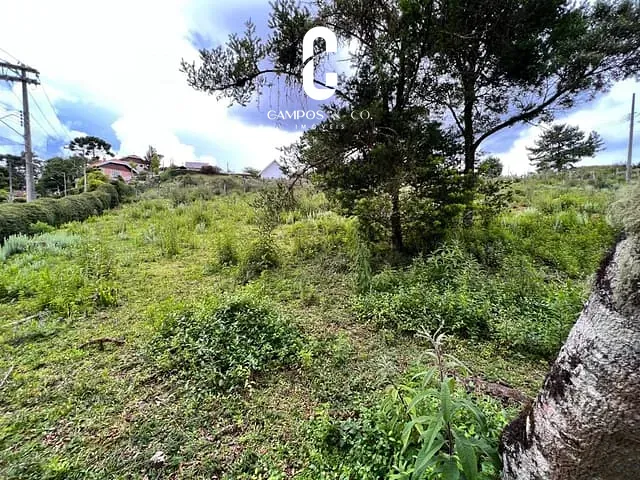 Terreno com 2015m², à venda, no bairro Vale Encantado em Campos do Jordão