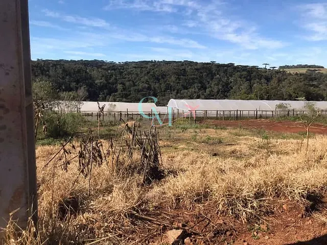 Terreno com 511m², à venda, no bairro Aparecida em Xanxerê