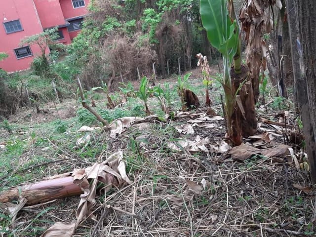 Terreno com 1022m², à venda, no bairro Chácaras Marco em Barueri