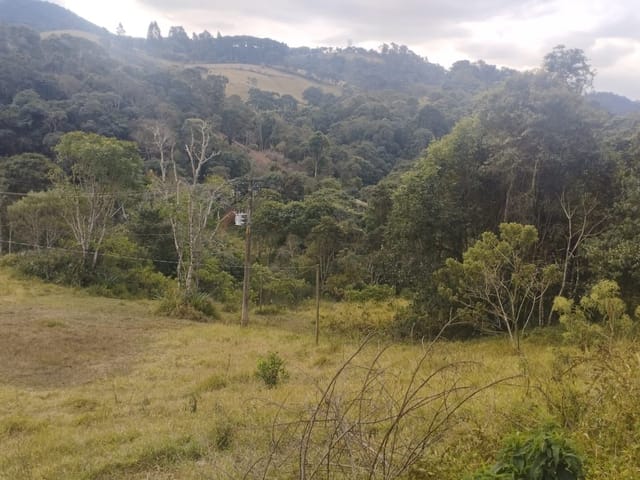Terreno com 169400m², à venda, no bairro Serra dos Rodrigues em Cambuí