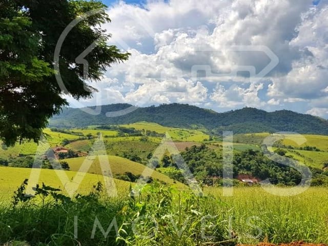 Foto do Terreno - Paz e Tranquilidade | Istelet Imóveis