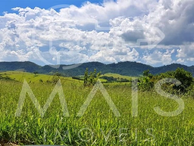 Foto do Terreno - Paz e Tranquilidade | Istelet Imóveis
