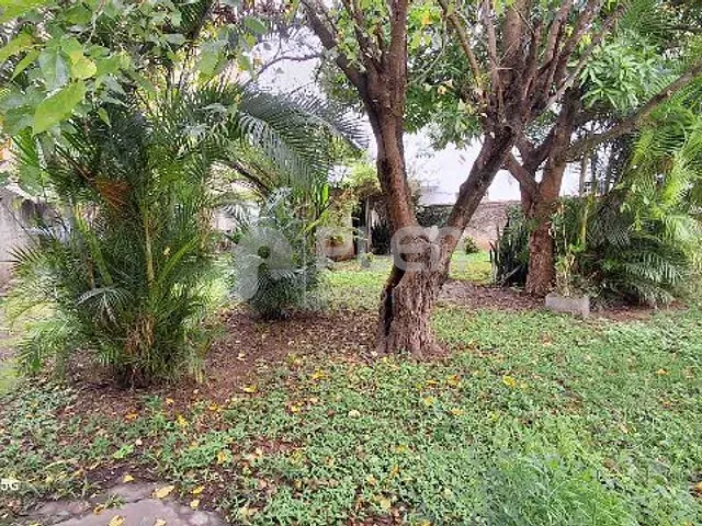 Terreno com 572m², à venda, no bairro Vila Nova Cachoeirinha em São Paulo