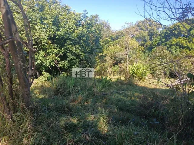 Terreno com 5000m², à venda, no bairro Jardim Ivone em Bauru