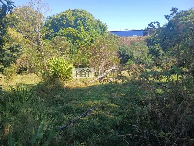 Terreno com 5000m², à venda, no bairro Jardim Ivone em Bauru