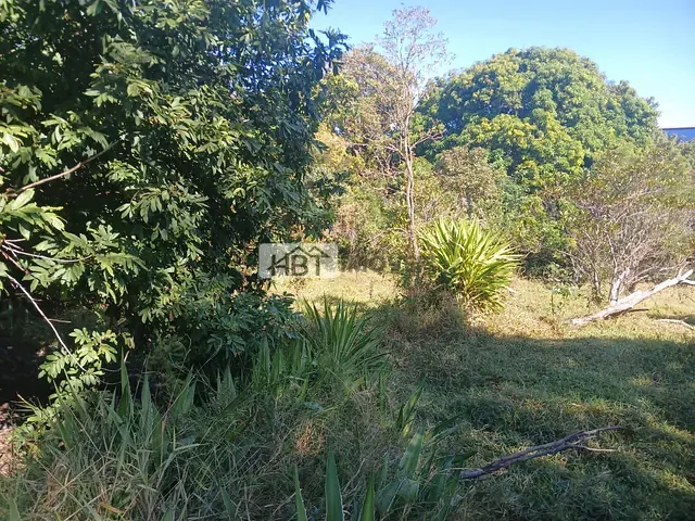 Terreno com 5000m², à venda, no bairro Jardim Ivone em Bauru