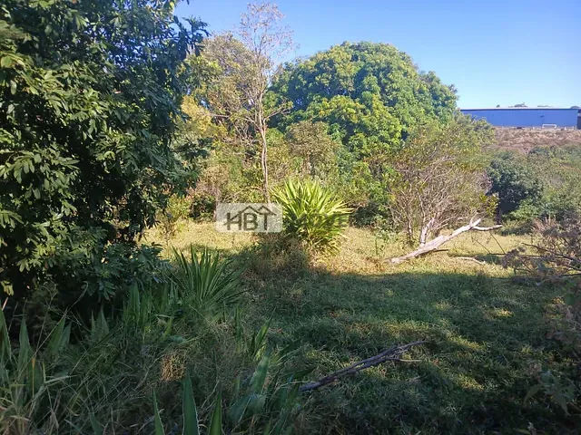 Terreno com 5000m², à venda, no bairro Jardim Ivone em Bauru