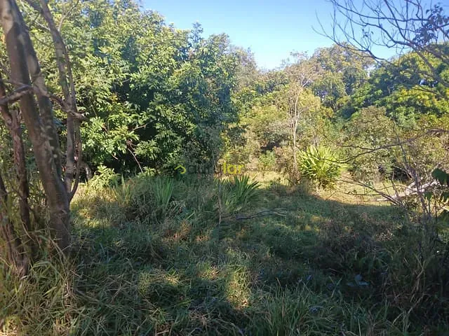 Terreno com 5000m², à venda, no bairro Jardim Ivone em Bauru