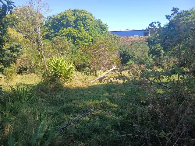 Terreno com 5000m², à venda, no bairro Jardim Ivone em Bauru