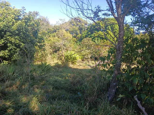 Terreno com 5000m², à venda, no bairro Jardim Ivone em Bauru