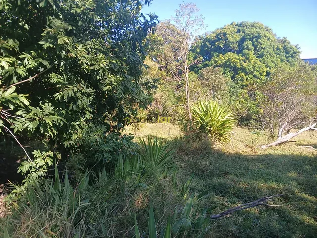 Terreno com 5000m², à venda, no bairro Jardim Ivone em Bauru