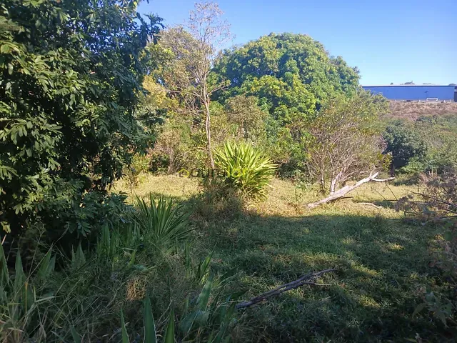 Terreno com 5000m², à venda, no bairro Jardim Ivone em Bauru