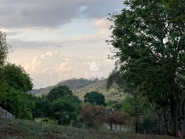 Terreno com 5053m², à venda, no bairro Limoeiro em Londrina
