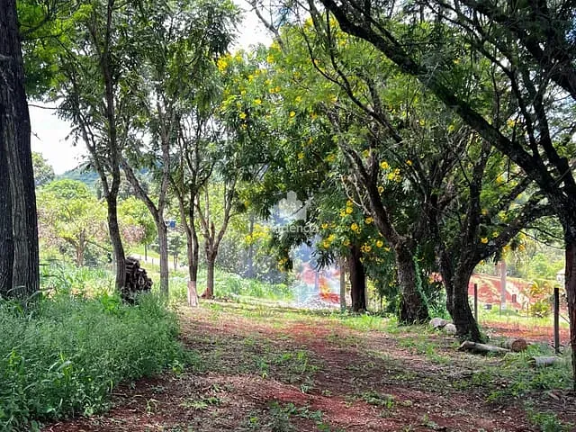 Terreno com 5053m², à venda, no bairro Limoeiro em Londrina