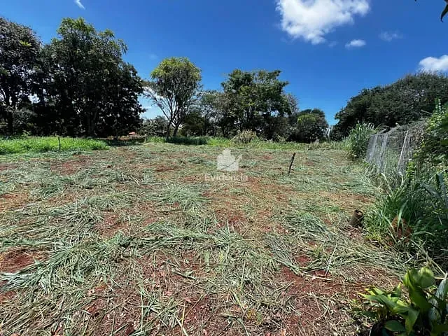 Terreno com 5053m², à venda, no bairro Limoeiro em Londrina
