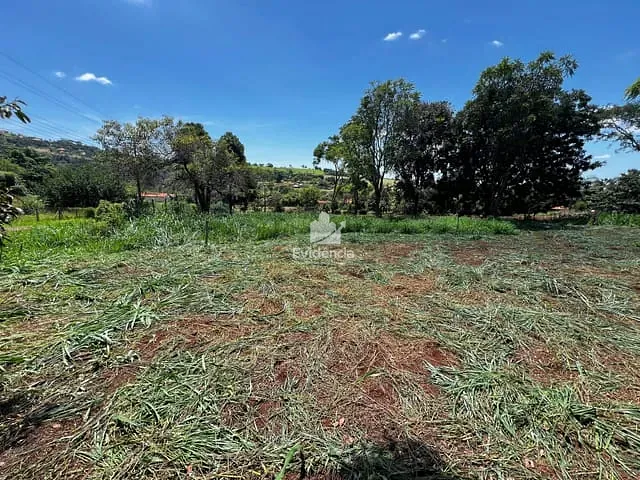 Terreno com 5053m², à venda, no bairro Limoeiro em Londrina