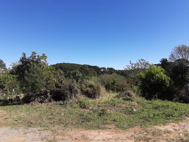 Terreno com 462m², à venda, no bairro Boa Vista em Ponta Grossa