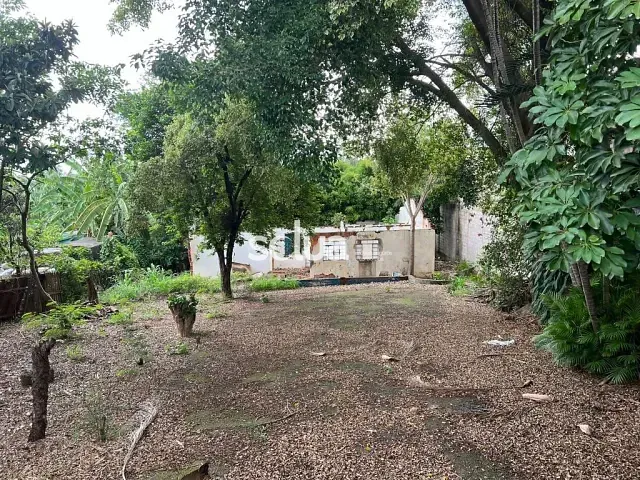 Terreno com 937m², à venda, no bairro Chácara Boa Vista em Campinas