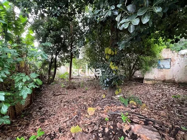 Terreno com 937m², à venda, no bairro Chácara Boa Vista em Campinas