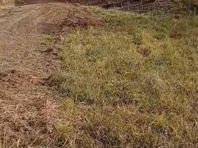 Terreno com 1000m², à venda, no bairro Meia Légua em Cambuí