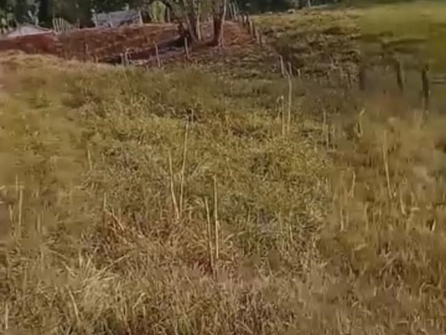 Terreno com 1000m², à venda, no bairro Meia Légua em Cambuí