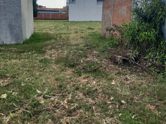 Terreno com 299m², à venda, no bairro Centro em Saltinho