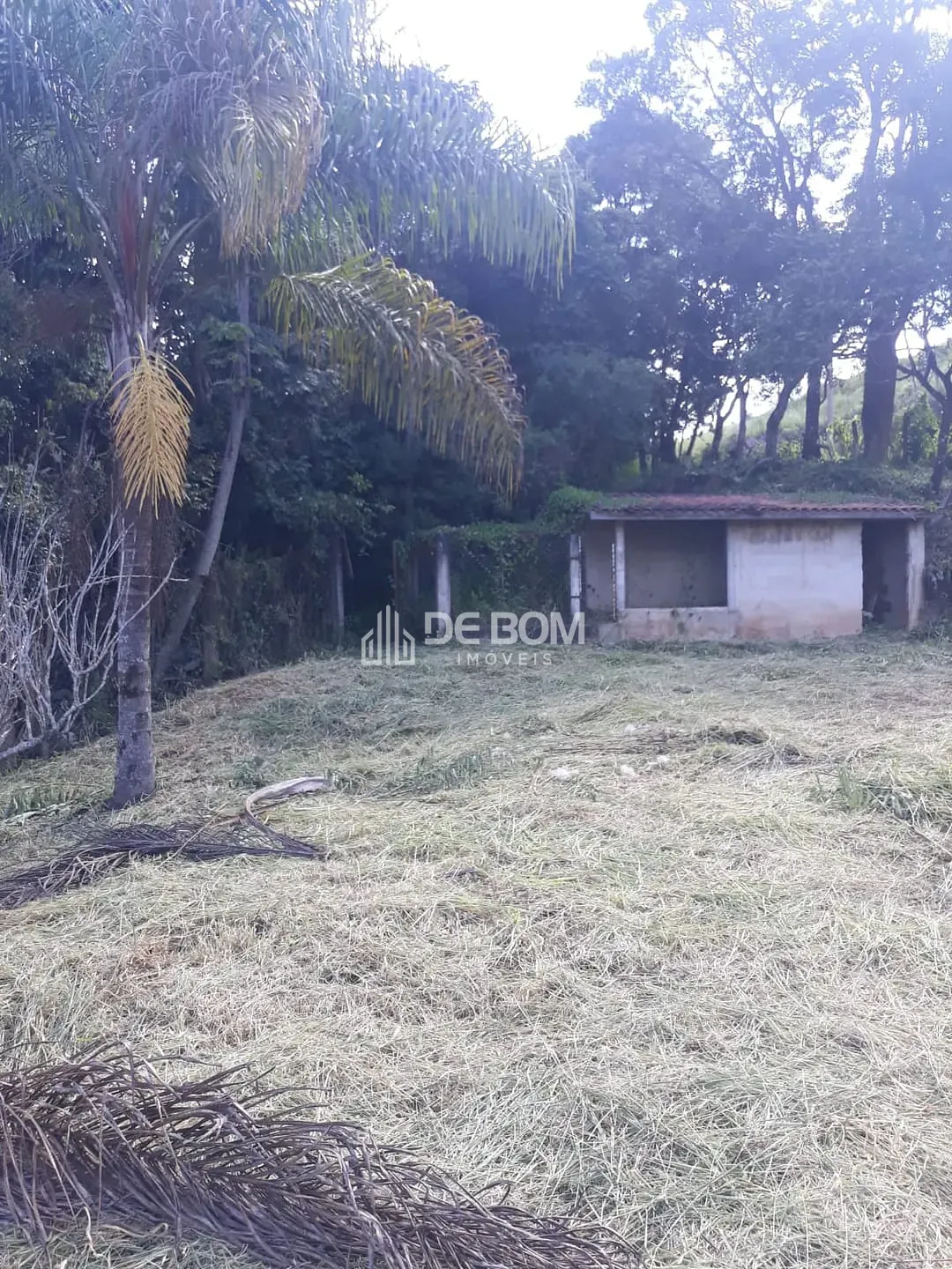 Terreno, 1000 m² - Foto 2