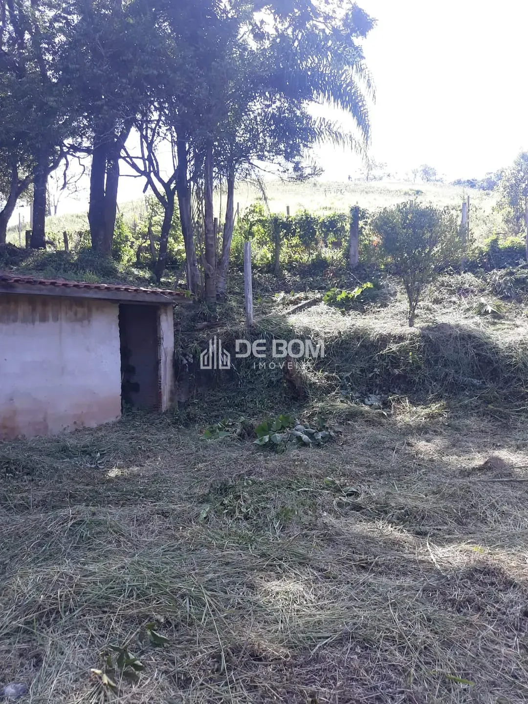Terreno, 1000 m² - Foto 3