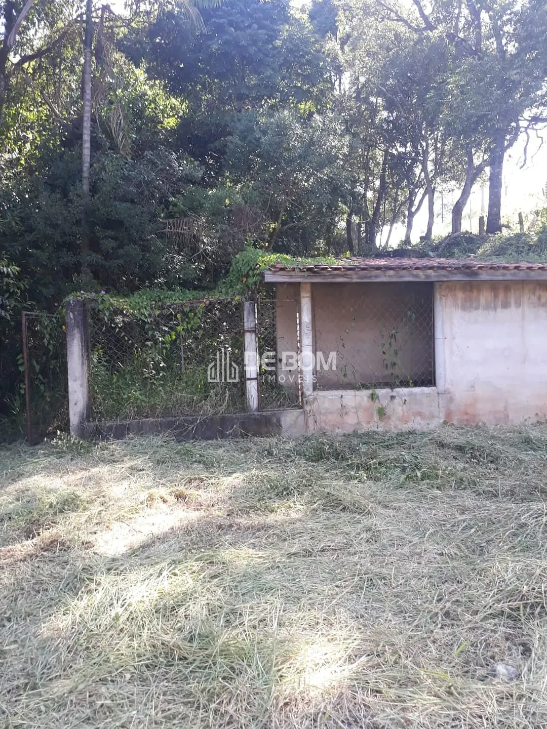 Terreno, 1000 m² - Foto 6