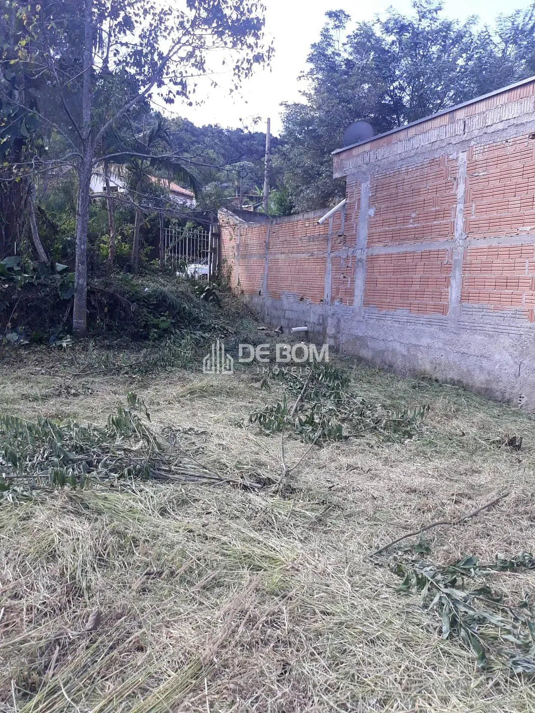 Terreno, 1000 m² - Foto 4