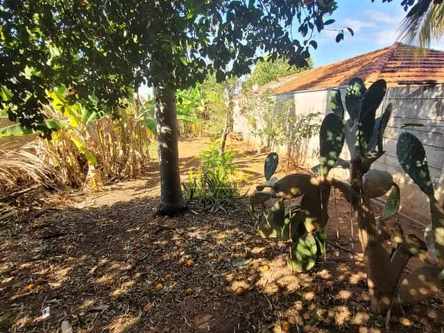 Terreno com 480m², à venda, no bairro Pozzobon em Votuporanga