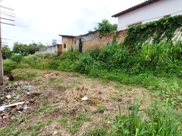 Foto do Terreno - Terreno à venda, Grã-Bretanha, Araçuaí, MG | Rede Max Imoveis