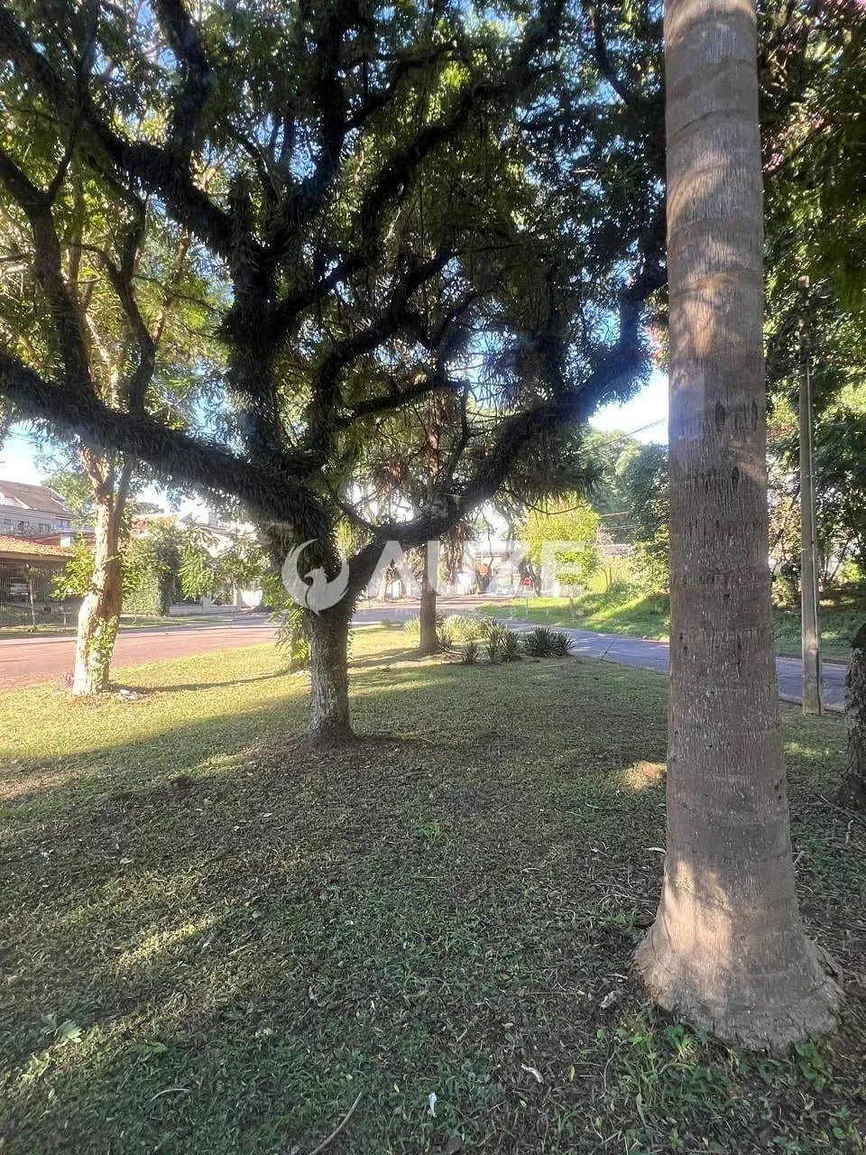 Terreno, 660 m² - Foto 12