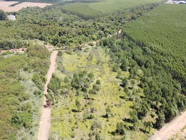 Terreno com 20000m², à venda, no bairro Parque Industrial Mogi Guaçu em Mogi Guaçu
