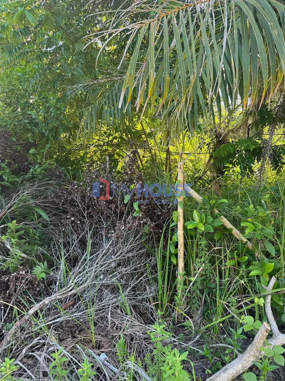 Terreno, 360 m² - Foto 4