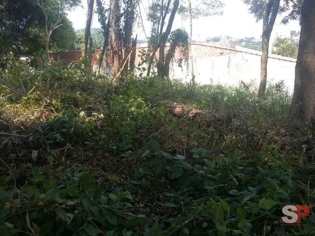 Terreno com 2250m², à venda, no bairro Vila Albertina em São Paulo
