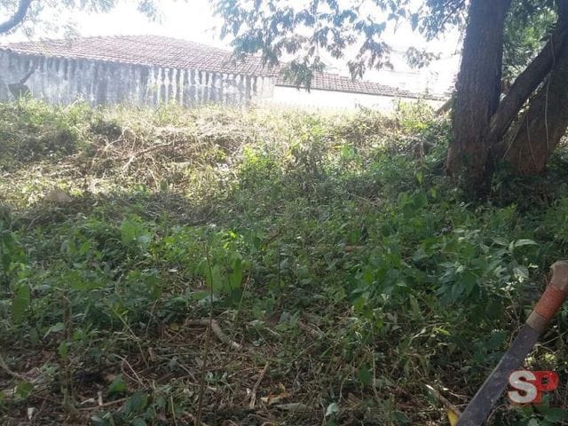 Terreno com 2250m², à venda, no bairro Vila Albertina em São Paulo