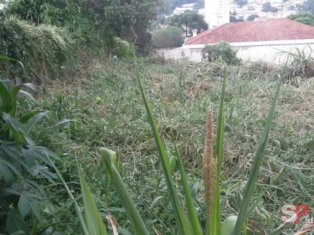 Terreno com 2250m², à venda, no bairro Vila Albertina em São Paulo