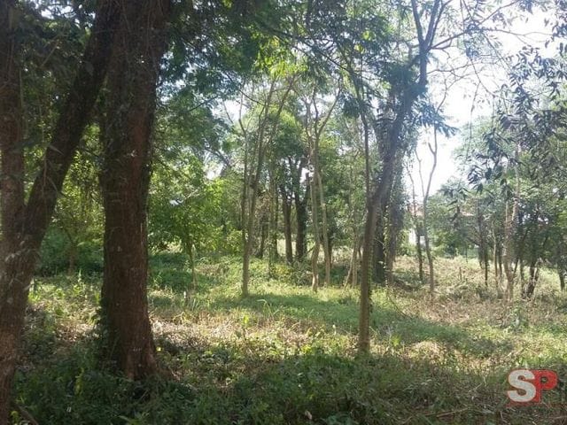 Terreno com 2250m², à venda, no bairro Vila Albertina em São Paulo