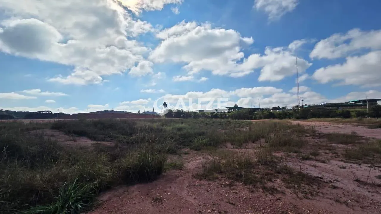 Terreno, 4 hectares - Foto 6